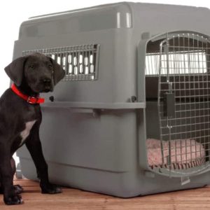 Sky Kennel Pet Carrier