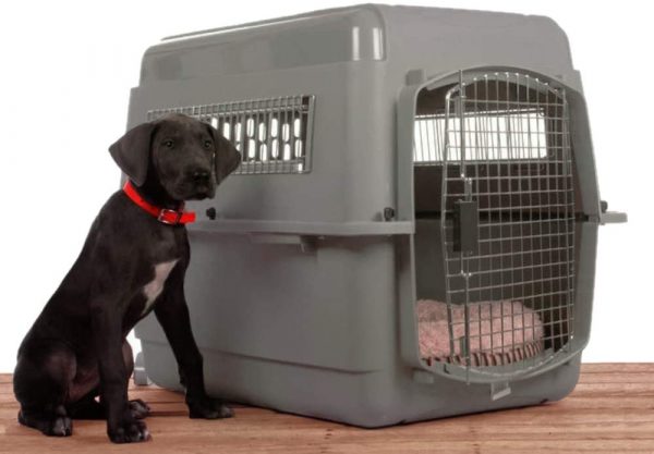 Sky Kennel Pet Carrier